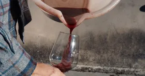 Azienda Vitivinicola Castello di Stefanago - Immagine: 1