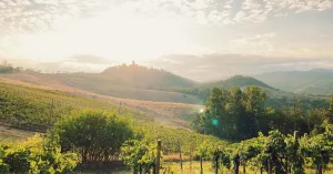 Azienda Vitivinicola Castello di Stefanago - Immagine: 3