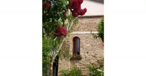 L'area del Castello di Fortunago - Immagine: 2