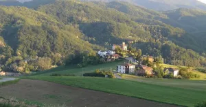 Percorso di Crinale 2: Fortunago - S.Eusebio - Molino della Signora - Immagine: 3