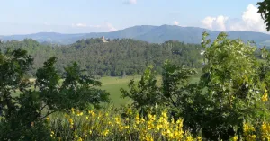 Sentieri Naturalistici - Immagine: 2