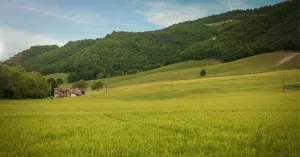 Il Territorio - Immagine: 3