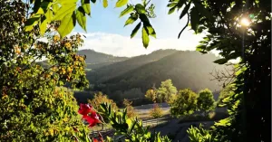 Agriturismo Il Melo Rosso - Immagine: 2