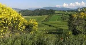 Sentieri Naturalistici - Immagine: 1