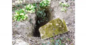 Sentiero delle Volpi - Immagine: 2