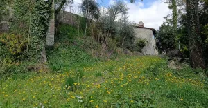 Sentiero della Rocca - Immagine: 2