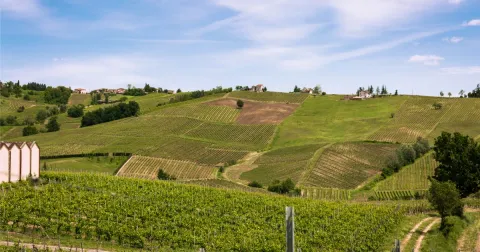 Sentiero delle Volpi